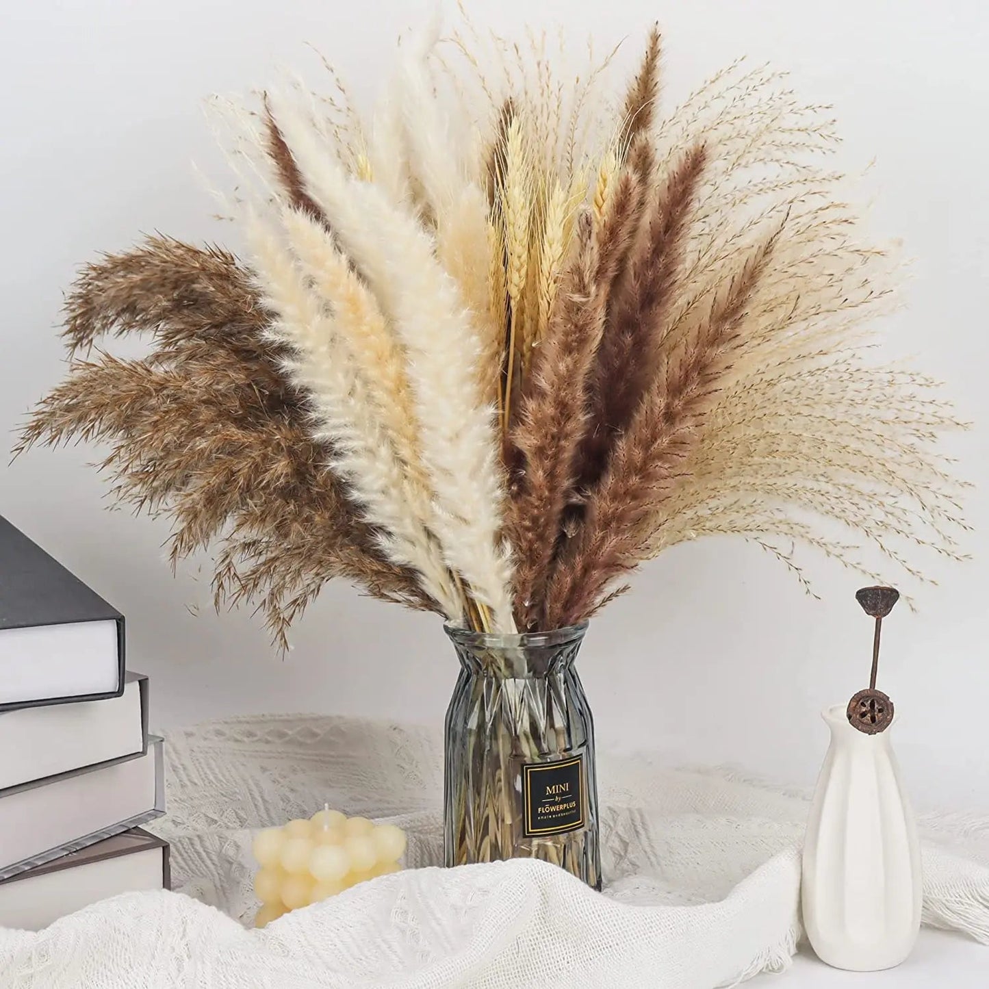 Pampas séché pour une belle décocration - decosejour