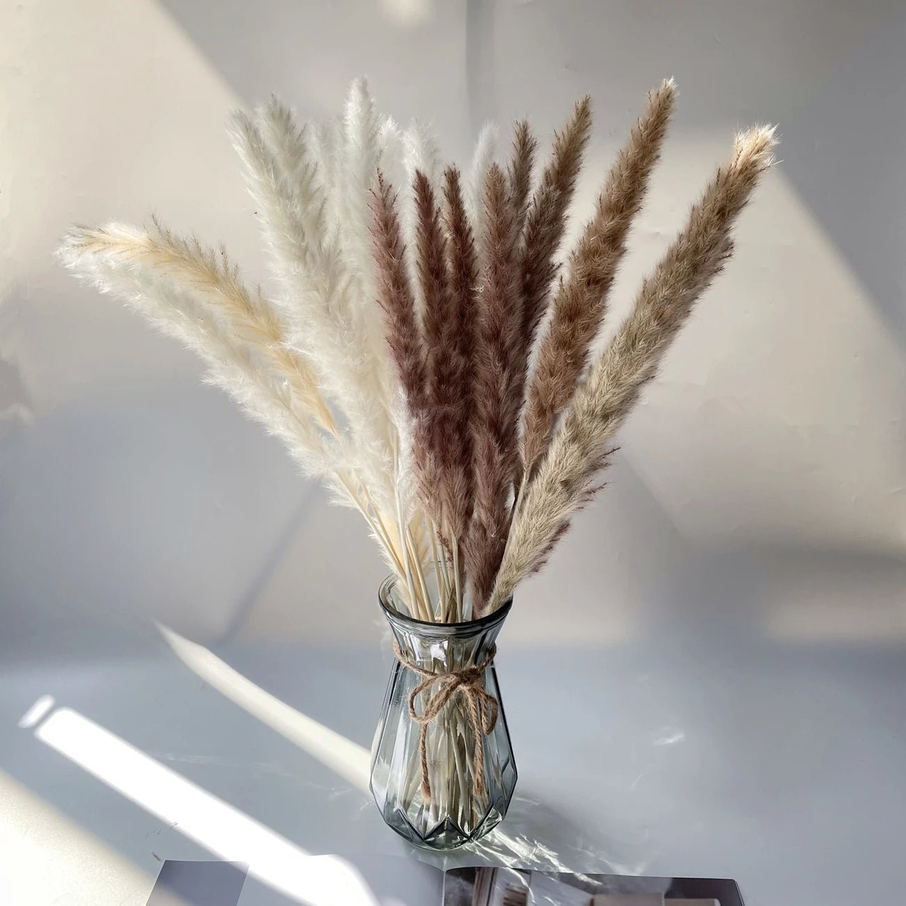 Pampas séché pour une belle décocration - decosejour